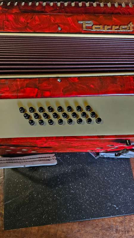 Parrot Piano Accordian