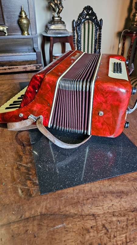 Parrot Piano Accordian