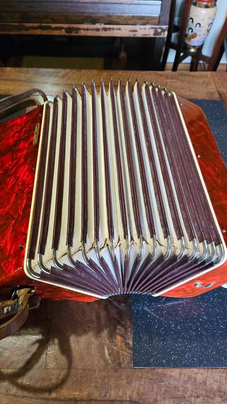 Parrot Piano Accordian
