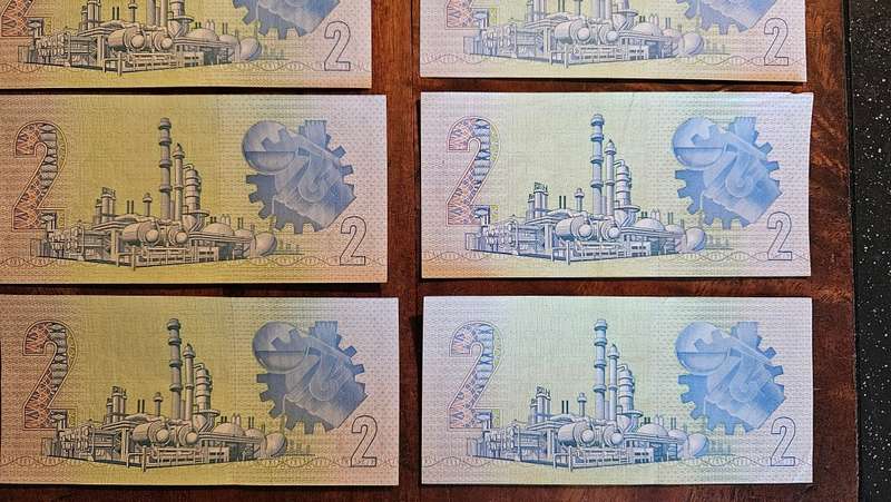 Collectable South African R2 Bank Notes