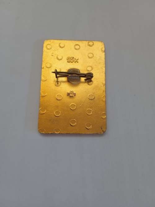 Rare Vintage Giraffe Soviet badge circa 1970