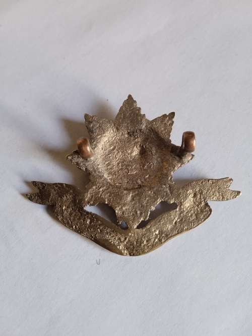Worcestershire Regiment cap badge