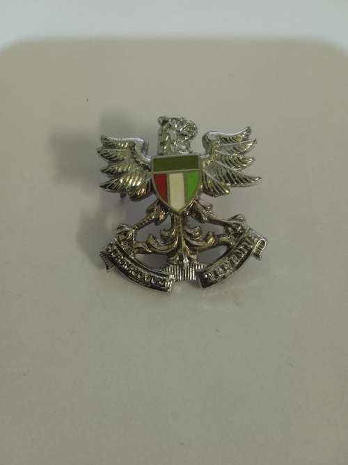 SADF Regiment North Natal badge