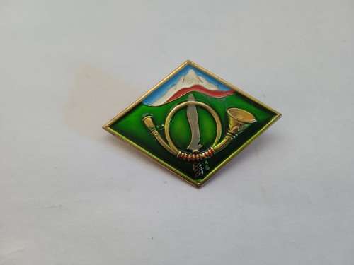 Spanish Military School of Mountain and Special operations badge.
