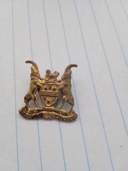 Traffic Police badge