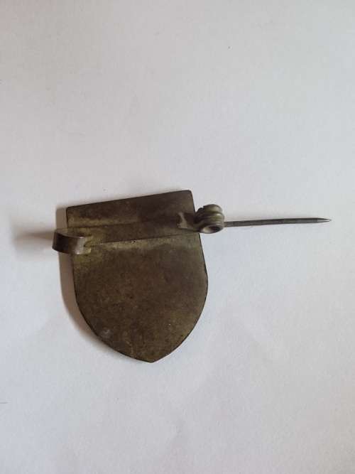 African Star Aid pin badge
