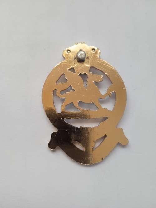 Queens Infantry Regiment badge