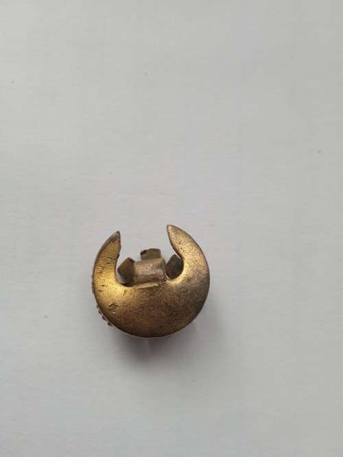 British Israel World Federation members pin/badge