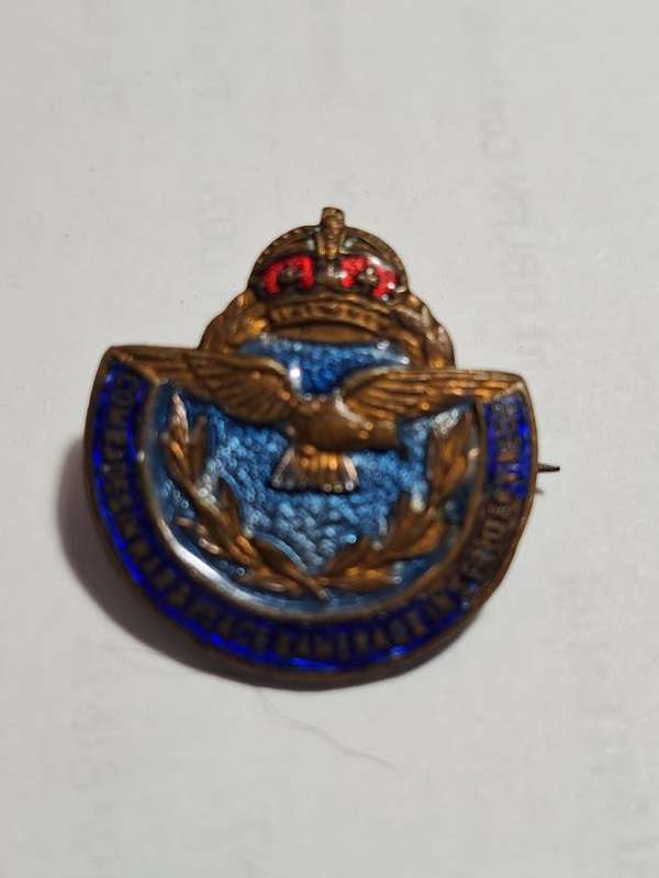 WW2 Airforce comrades in war E Peace badge