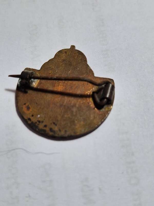 WW2 Airforce comrades in war E Peace badge
