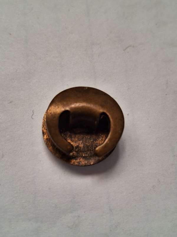 Boyscouts button badge
