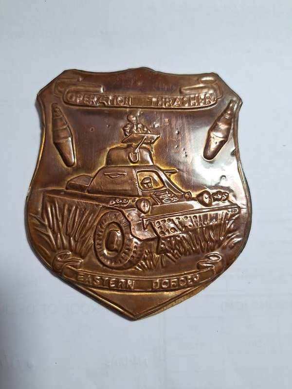 Operation Thrasher copper plaque