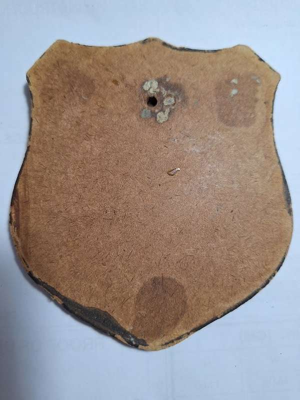 Operation Splinter copper plaque