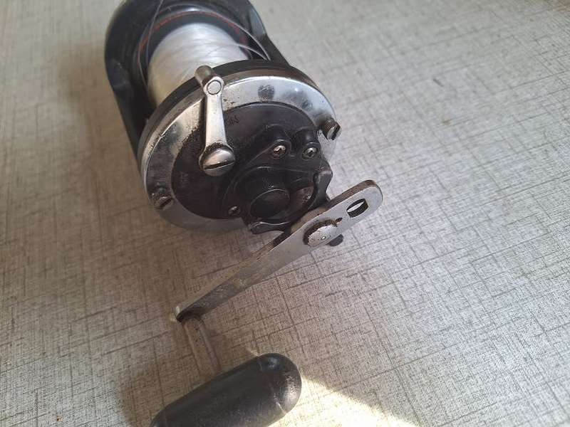 Daiwa fishing reel