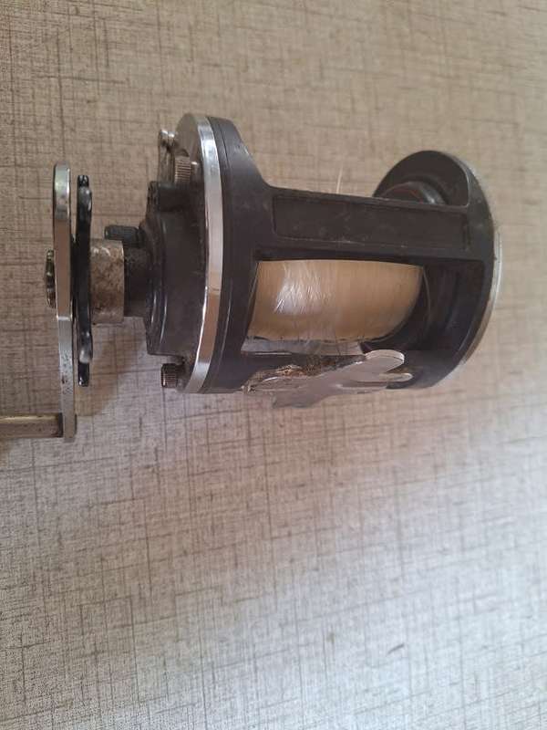 Daiwa fishing reel