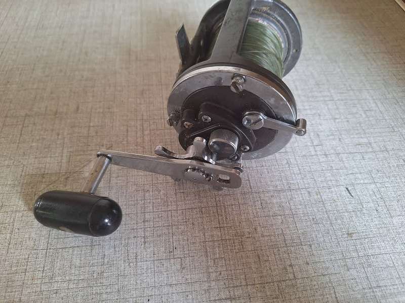 Daiwa fishing reel