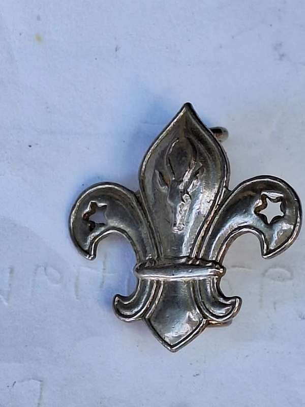 Old SA Boy Scouts Springbok badge