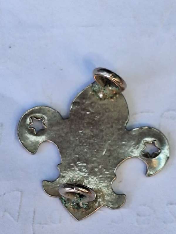 Old SA Boy Scouts Springbok badge