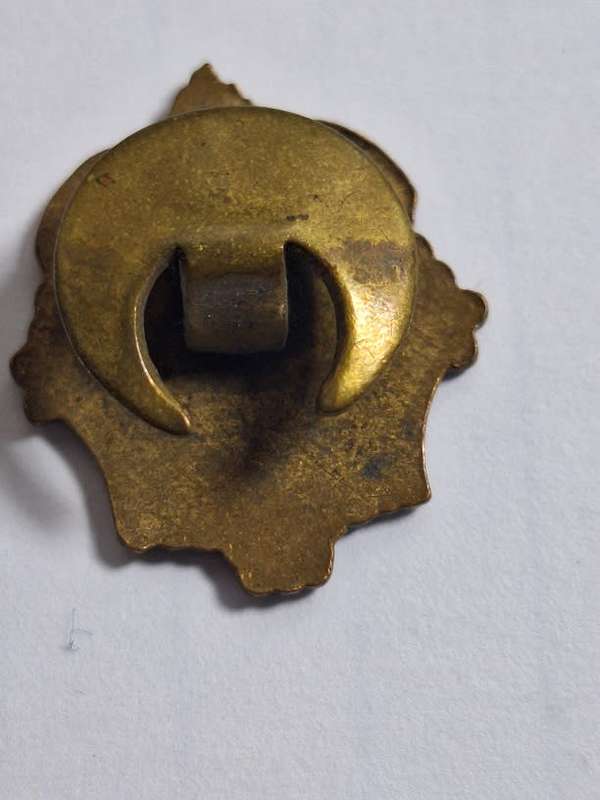 Vintage Manchester Unity pin