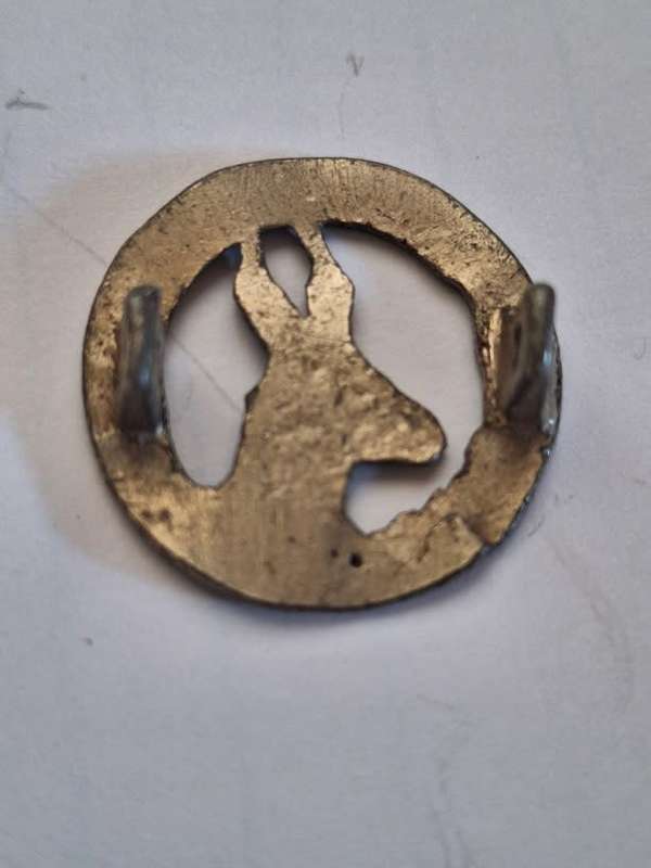 1939 - 1962 SA Military Nursing service badge