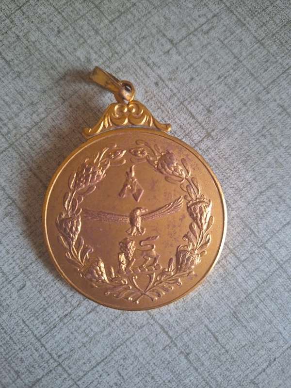 Suid Afrikaanse Weermag/ South Africa defence force medal