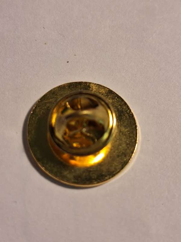 Cannes lapel pin