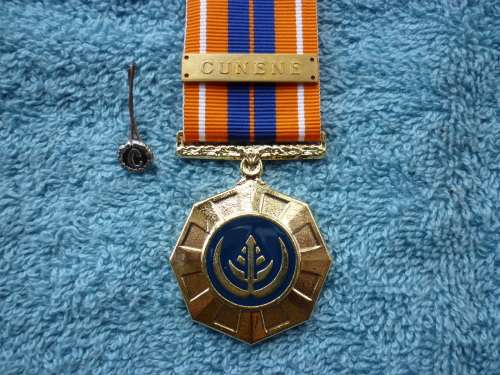 PROPATRIA IN BOX OF ISSUE WITH CUNENE CLASP & CUNENE PIN