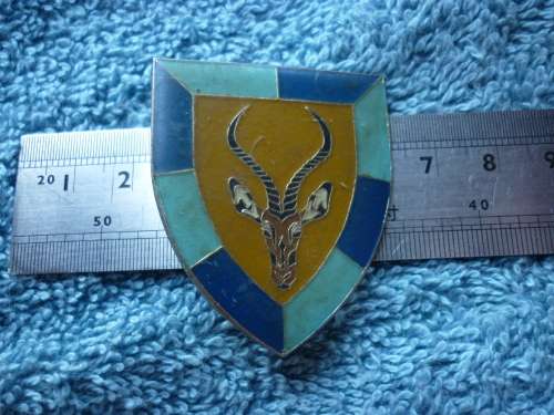 SWA 102 BATTALION POCKET FLASH - 2 PINS ONLY