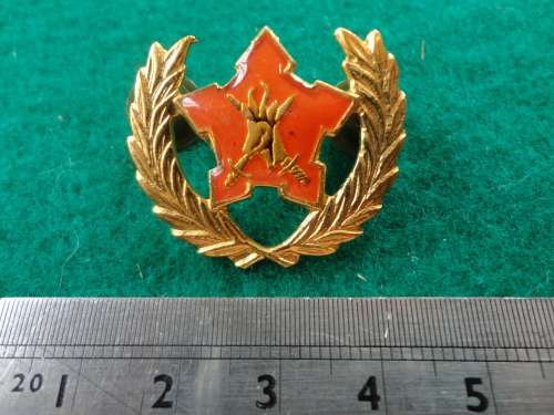 5 YEAR VOLUNTEER SERVICE BREST BADGE - SADF - 2 PINS