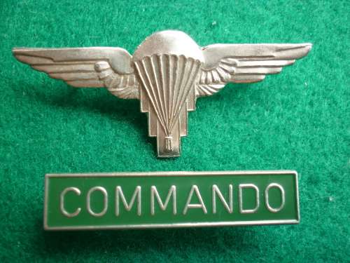 ZIMBABWE PARA WING & COMMANDO TAB = ALL LUGS INTACT