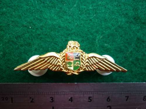 SADF PILOT MESS DRESS WING - 2000 HOURS - DINNES 1110