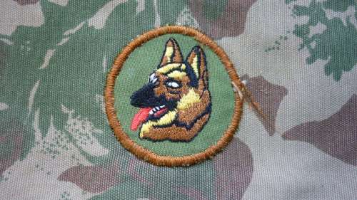 SAP DOG HANDLER BRASSARD - ON CAMMO - FULL COLOUR EMBROIDERED QUALIFICATION BADGE