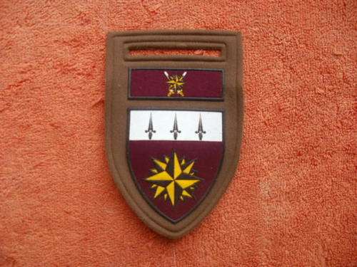 1 RECCI REGIMENT - TUPPER FLASH - PIN INTACT