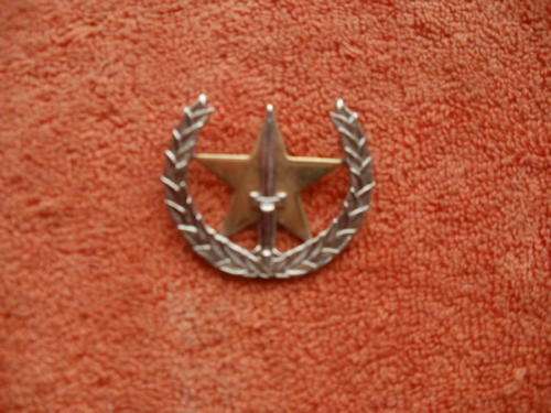 SOUTH AFRICAN AIRFORCE - MILITARY POLICE BI- METAL - PINS INTACT