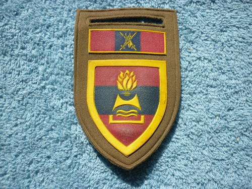2 FIELD ENGINEER REGT , WITH DIRECTORATE ENGINEERS FORMATION BAR 'TUPPER FLASH '