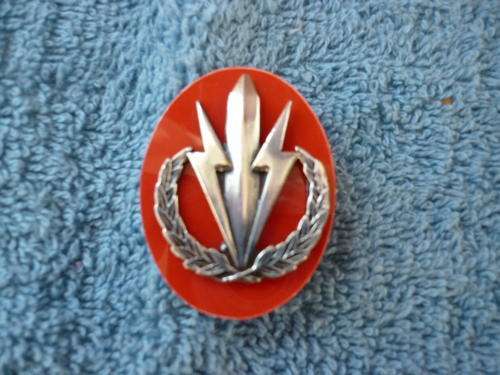 4 SAI BERET BADGE - 2 SCREW POSTS- D WALL 13/2