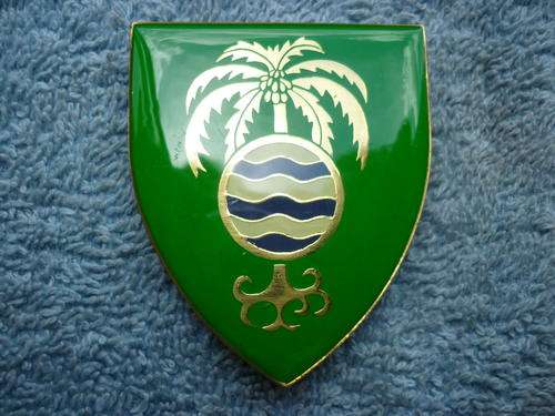 GROOTFONTEIN CMDO. FLASH #SCARCE# ALL PINS INTACT DINNES 4931
