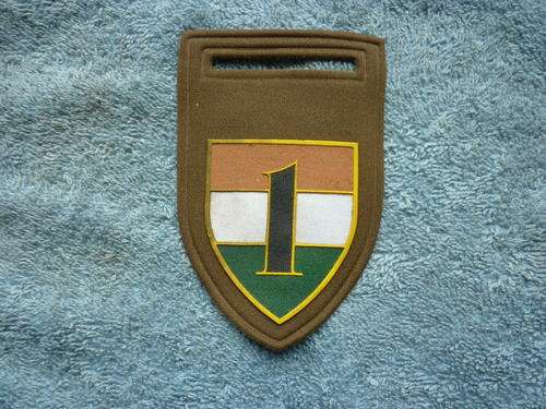 1ST BATTALION TRANSKEI DEF. FORCE TUPPER FLASH. DINNES 5236 - PIN PRESENT BUT BENT