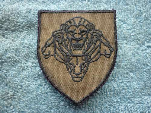 SANDF PRIDE OF LIONS PATCH