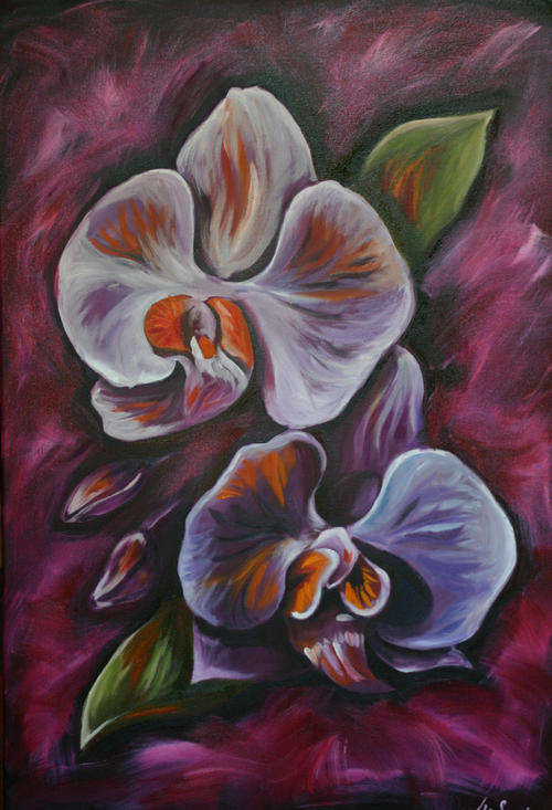 PURPLE ORCHIDS