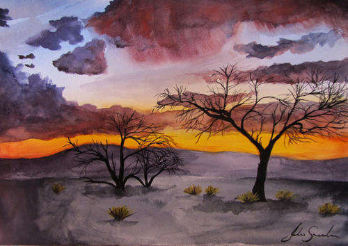 NAMIBIAN SUNSET OF TREES - R1 AUCTION!!!!