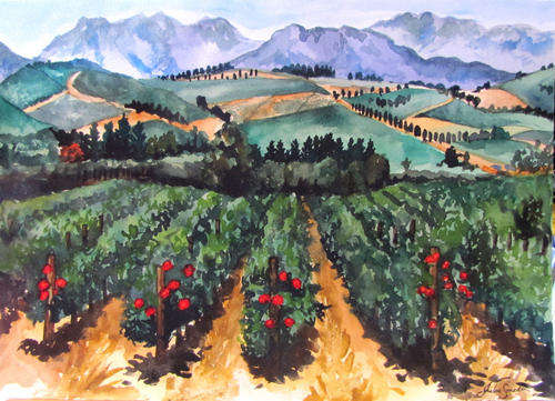 CAPE WINE FARMS - A BEAUTIFUL WATERCOLOUR!
