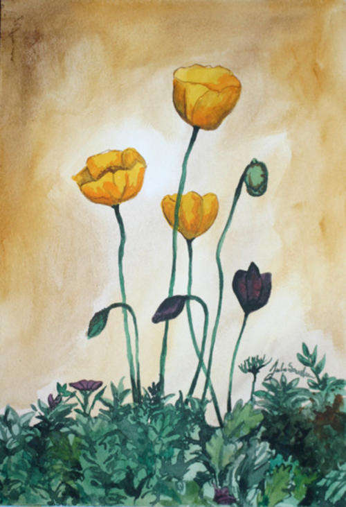 Yellow Poppies - A strikingly simple watercolour!