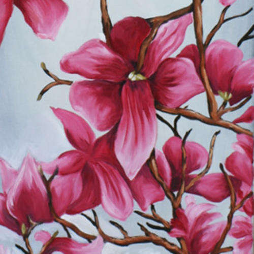 AMAZING MAGNOLIA TREE!!!! LONG 1M! Starting at R1!!!