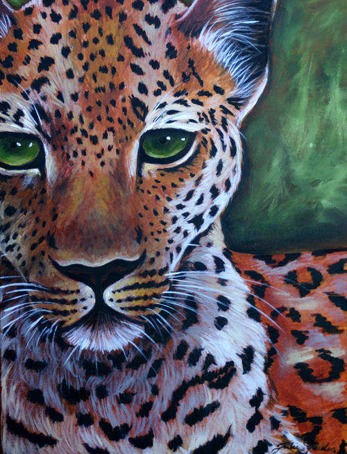LEOPARD CLOSE-UP!!!! Starting at R1 ONLY!!!