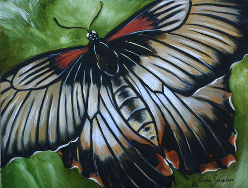 STRIKING BUTTERFLY OIL PAINTING! STARTING AT R1 ONLY!