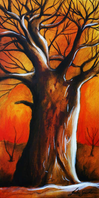 BOABAB TREE AT SUNSET! STARTING AT R1 ONLY!