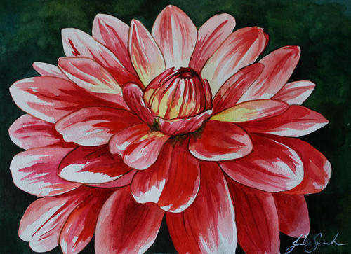 PINK DAHLIA - A WATERCOLOUR PAINTING! STARTING AT R1 ONLY!!!