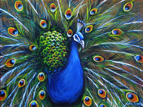 GLORIOUS LARGE PEACOCK! Starting at R1 only!!!