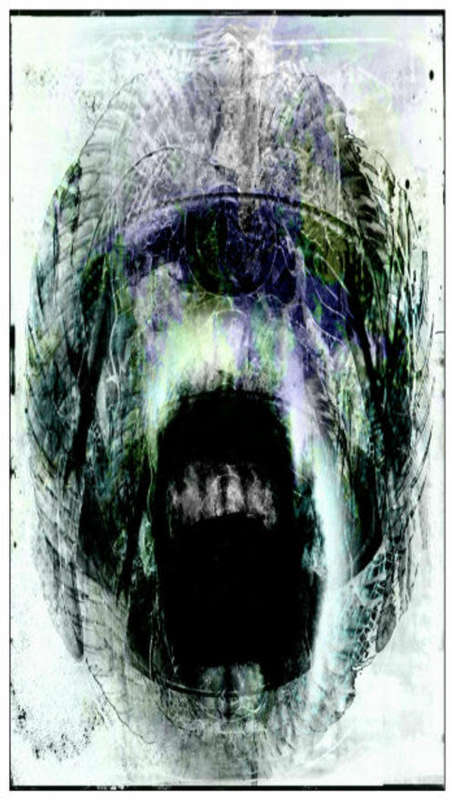 Bipolar Polaroids by SA Artist RAS STEYN : HR Gloss Quality Paper Triptych Print Series (Signed)
